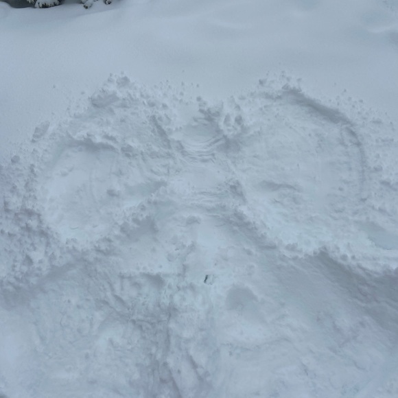 Meet your Posher, Drew - Picture 8 of 10